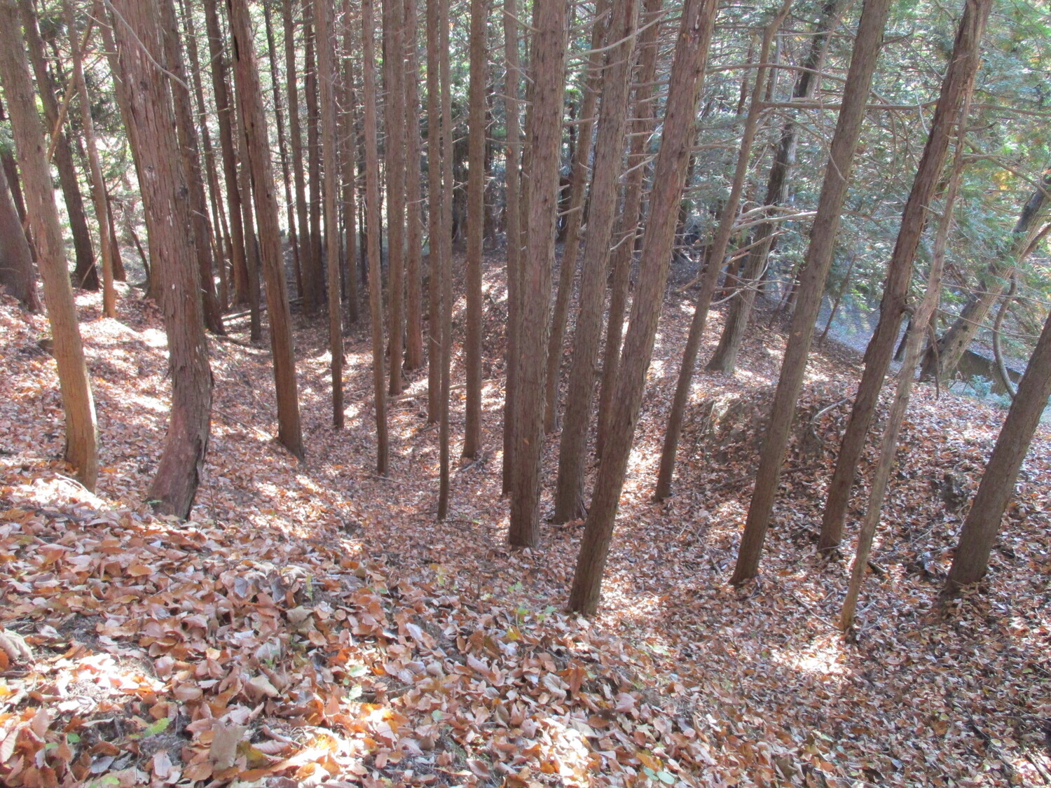KaiNarisawaNoroshidai (1).JPG