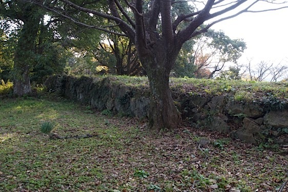 File:Hamada21.jpg