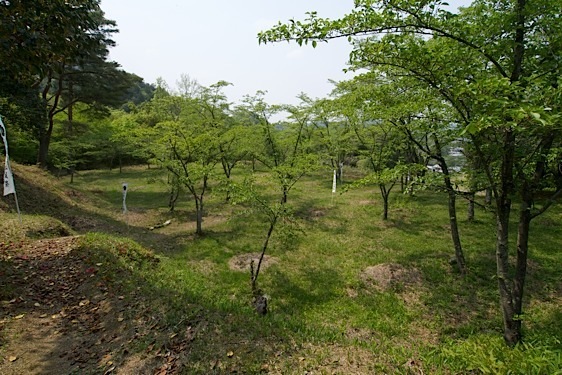 File:Ori6.jpg