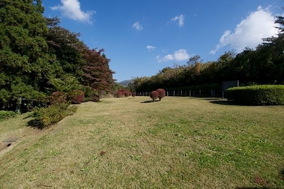 File:Yamanaka37.jpg