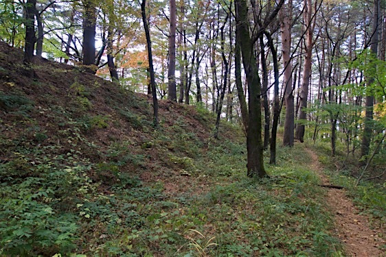 File:Hayashioh14.jpg
