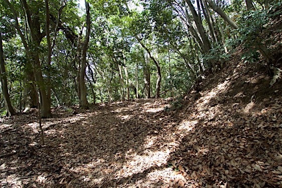 File:Jofukuji10.jpg