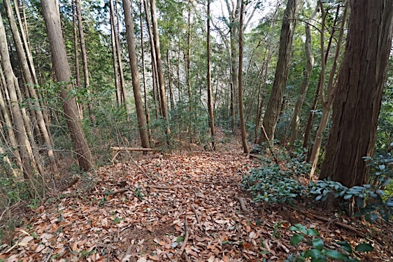 File:Tokura4.jpg