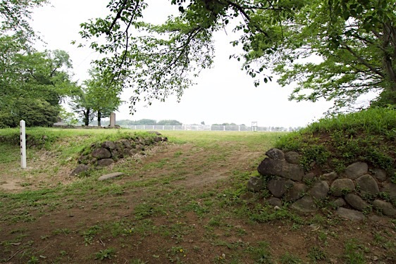 File:Oogo16.jpg