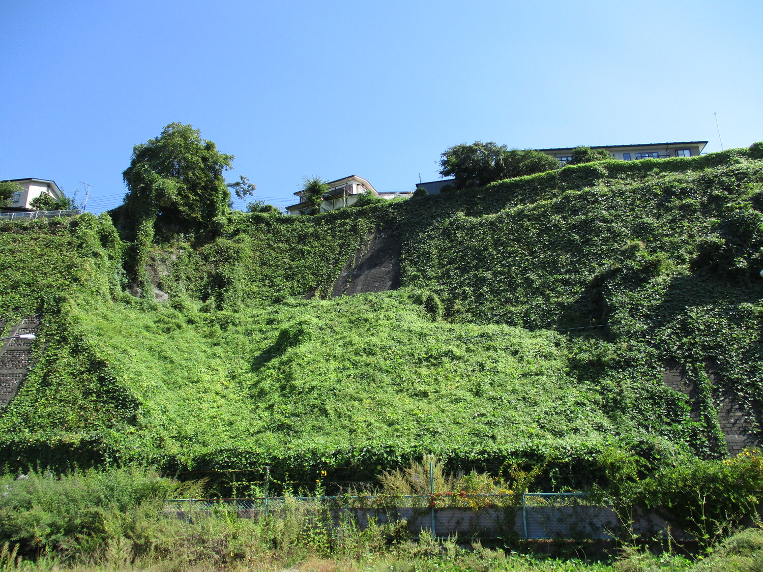 SuwaTenjinyamajou (1).JPG