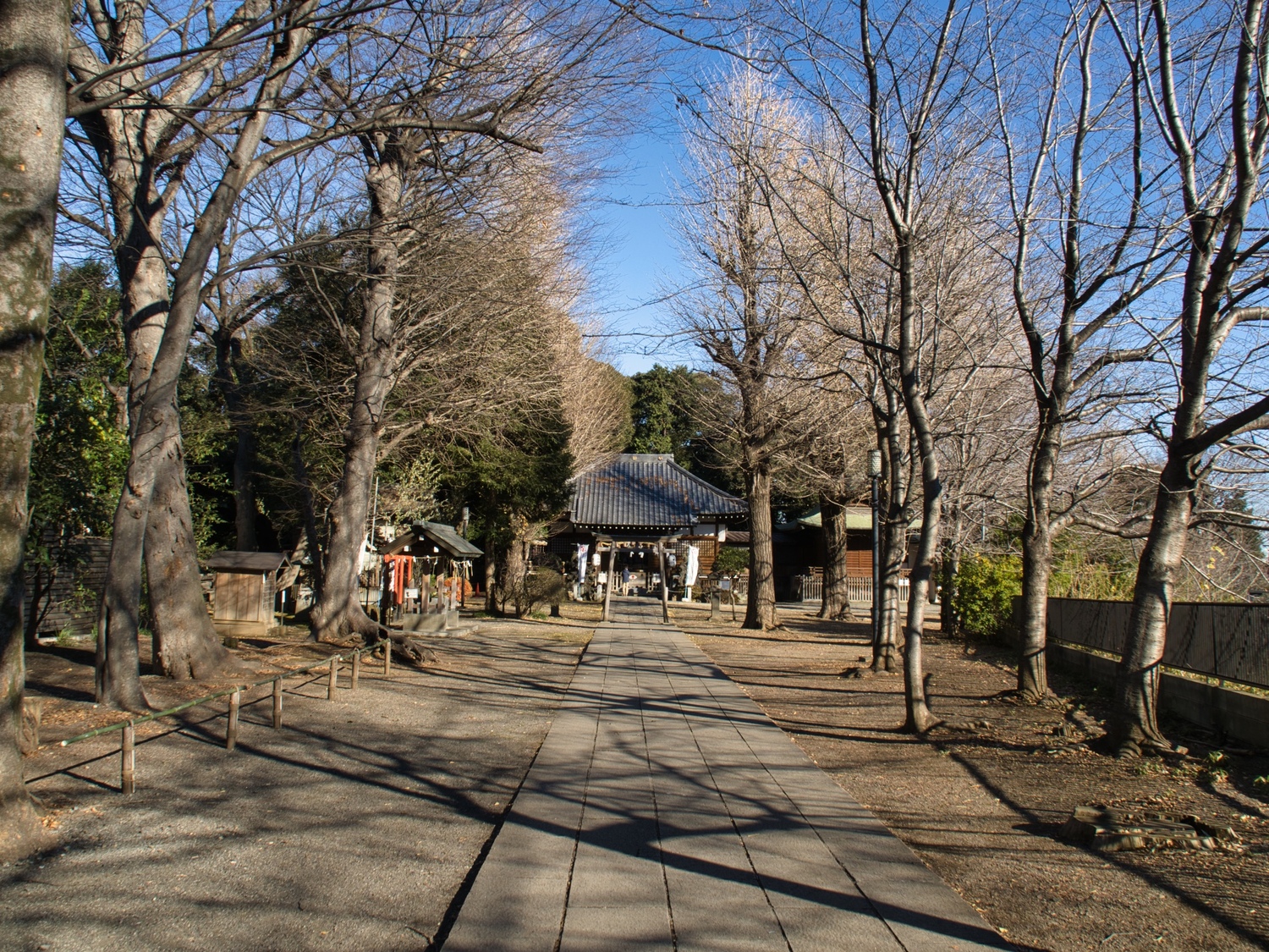 Hiratsuka3.jpg