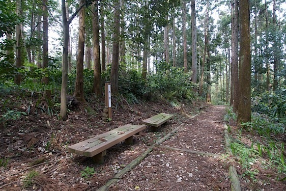 File:Kawamura16.jpg