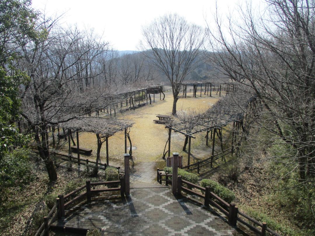 MinoHonjin003.jpg
