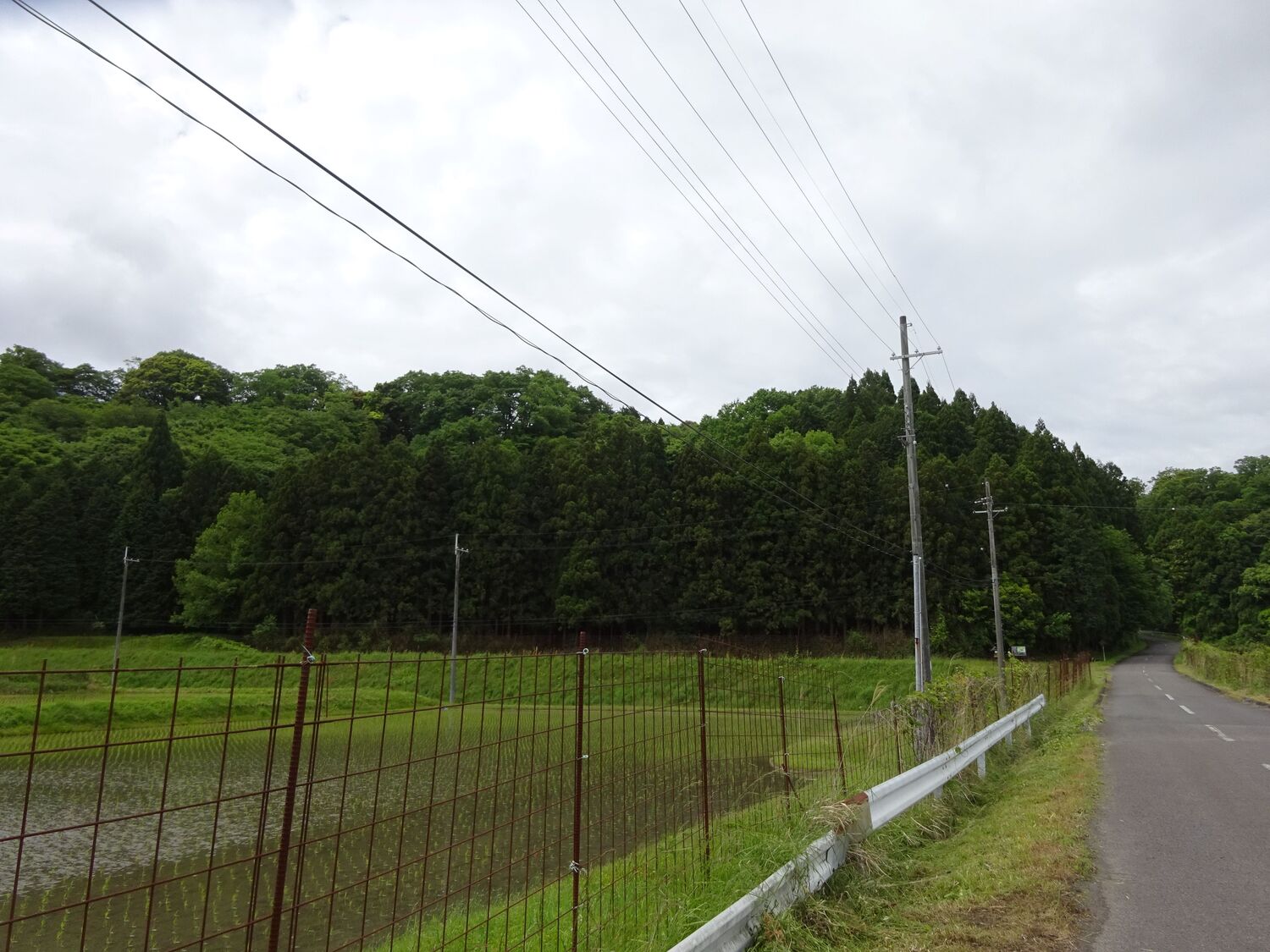 Hill of Otowajô.JPG