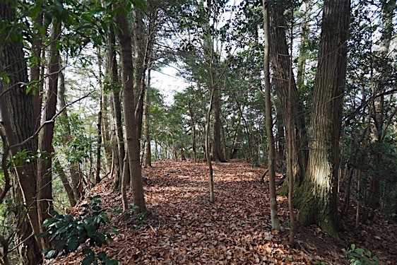 File:Tokura7.jpg