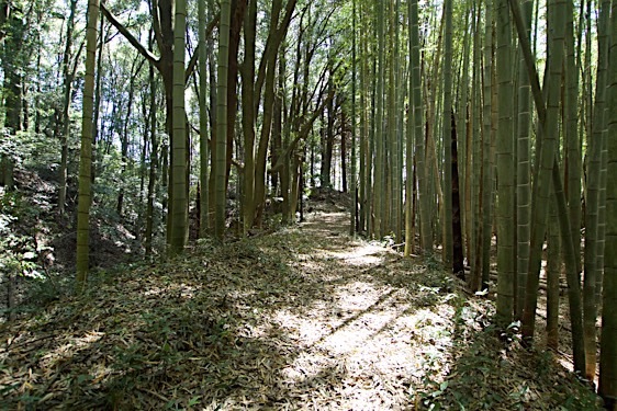 File:Obata23.jpg