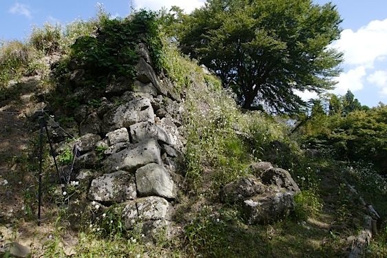 Yagi8.jpg