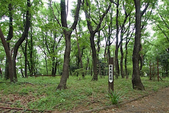 Yamagami16.jpg