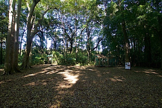 File:Shakujii13.jpg