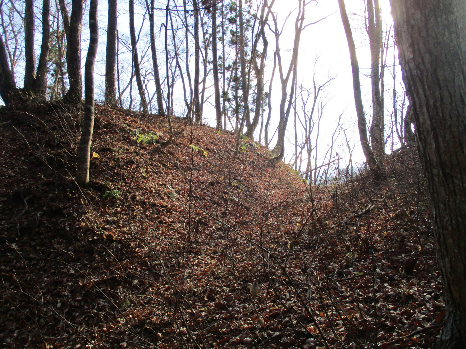 AzumiMikkaichibajou (1).JPG
