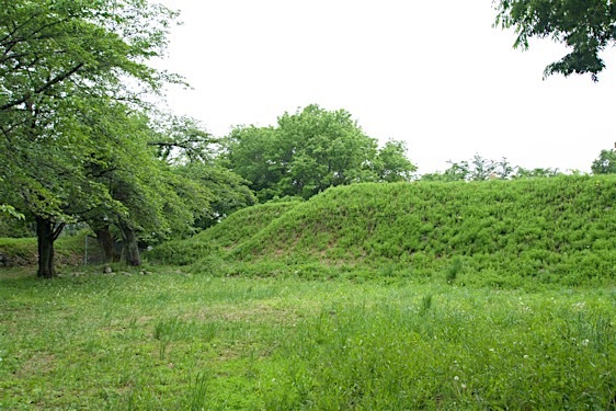File:Oogo21.jpg