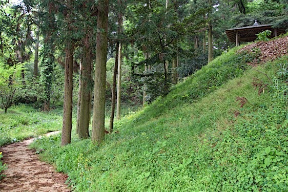File:Zen1.jpg