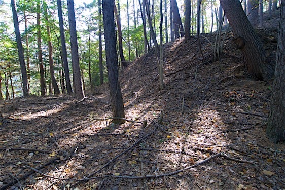 File:Hayashiko2.jpg