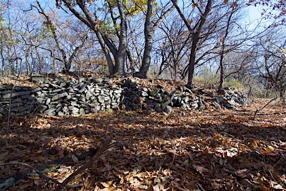 File:Kasumi15.jpg