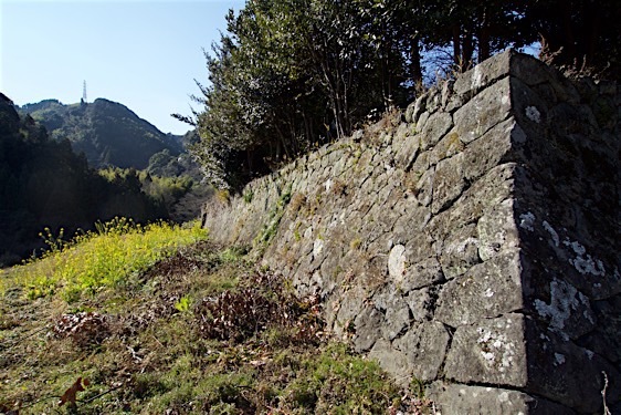 File:Ojima20.jpg