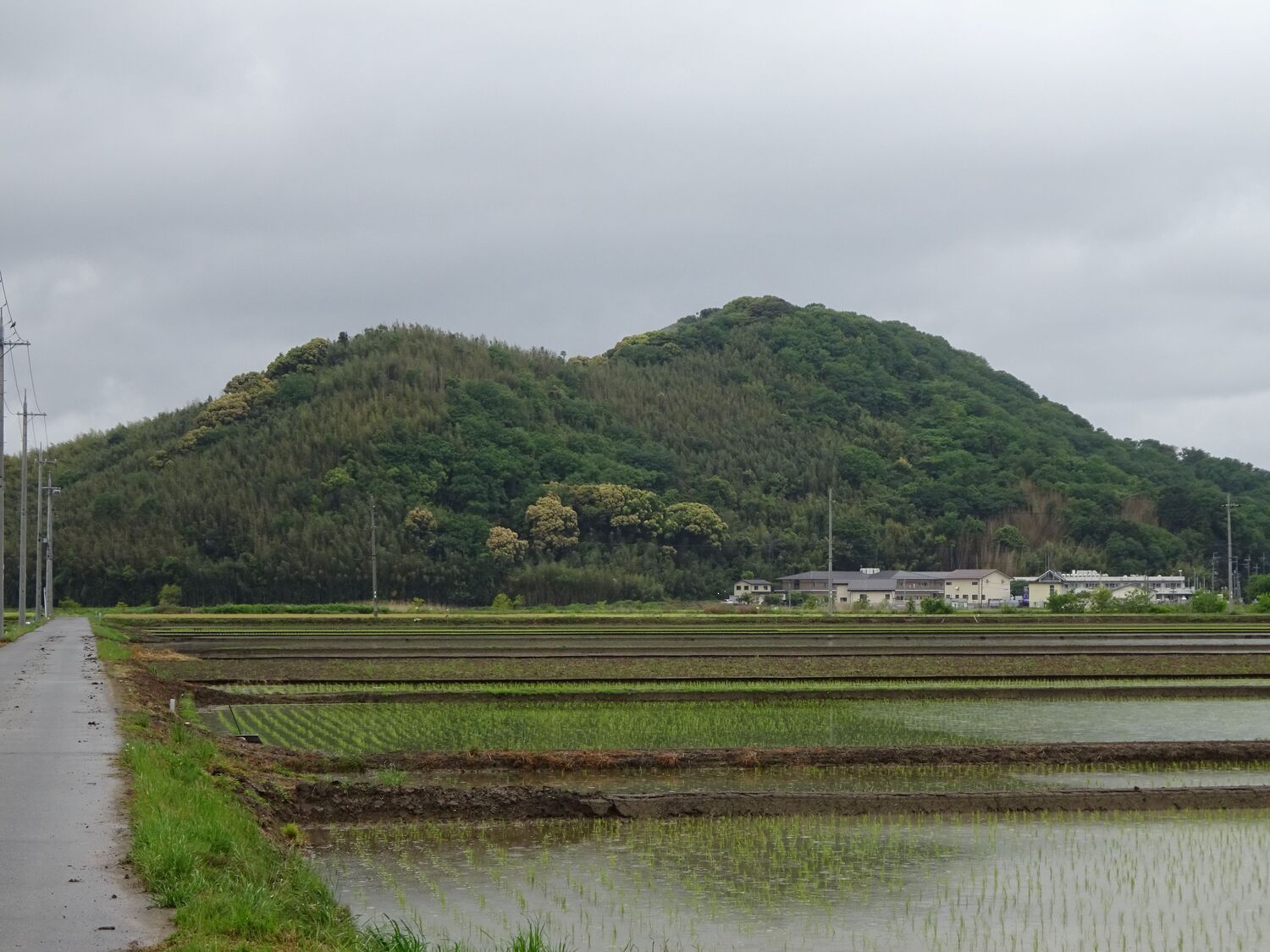 Suikei-Okayamajô seen from the road between Ômi-Hachimanjô and this site.JPG