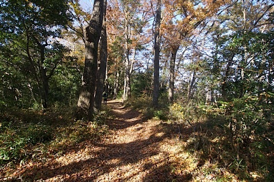 File:Tsukui21.jpg