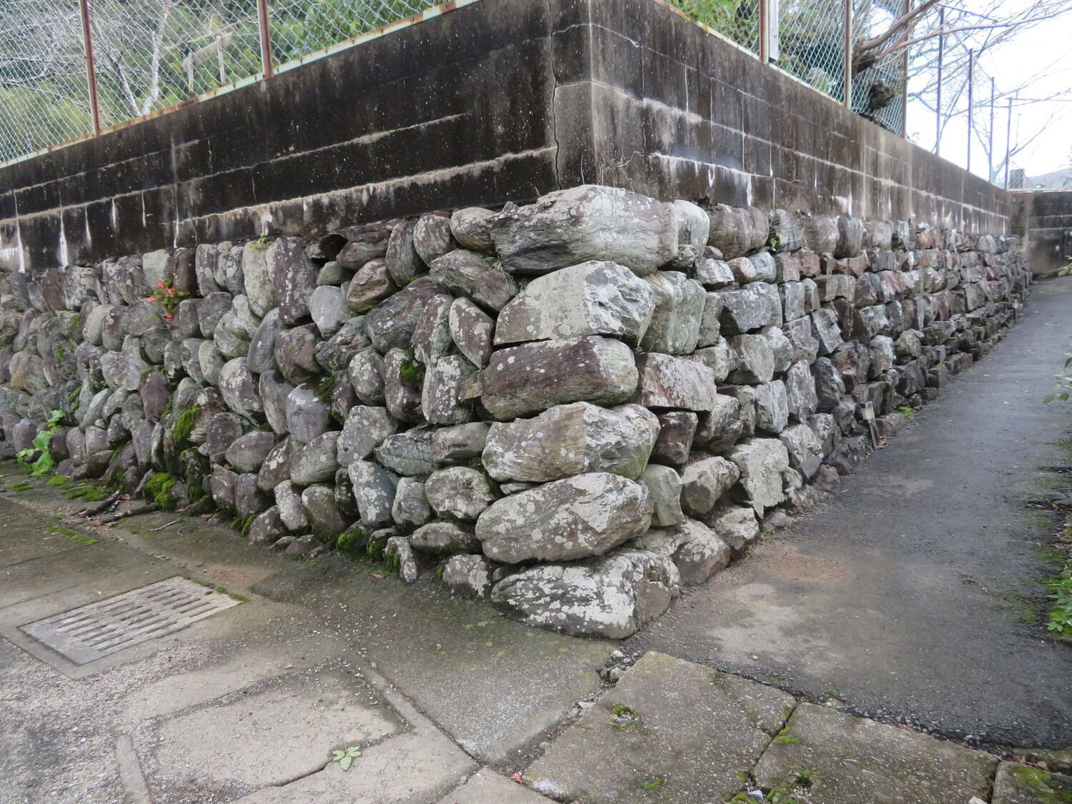AkizukihanMinamiGoten (1).JPG