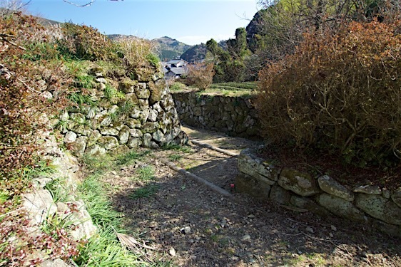 File:Ojima23.jpg