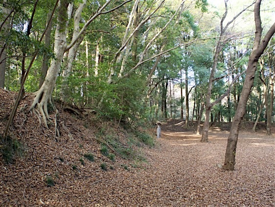 File:Masuo4.jpg