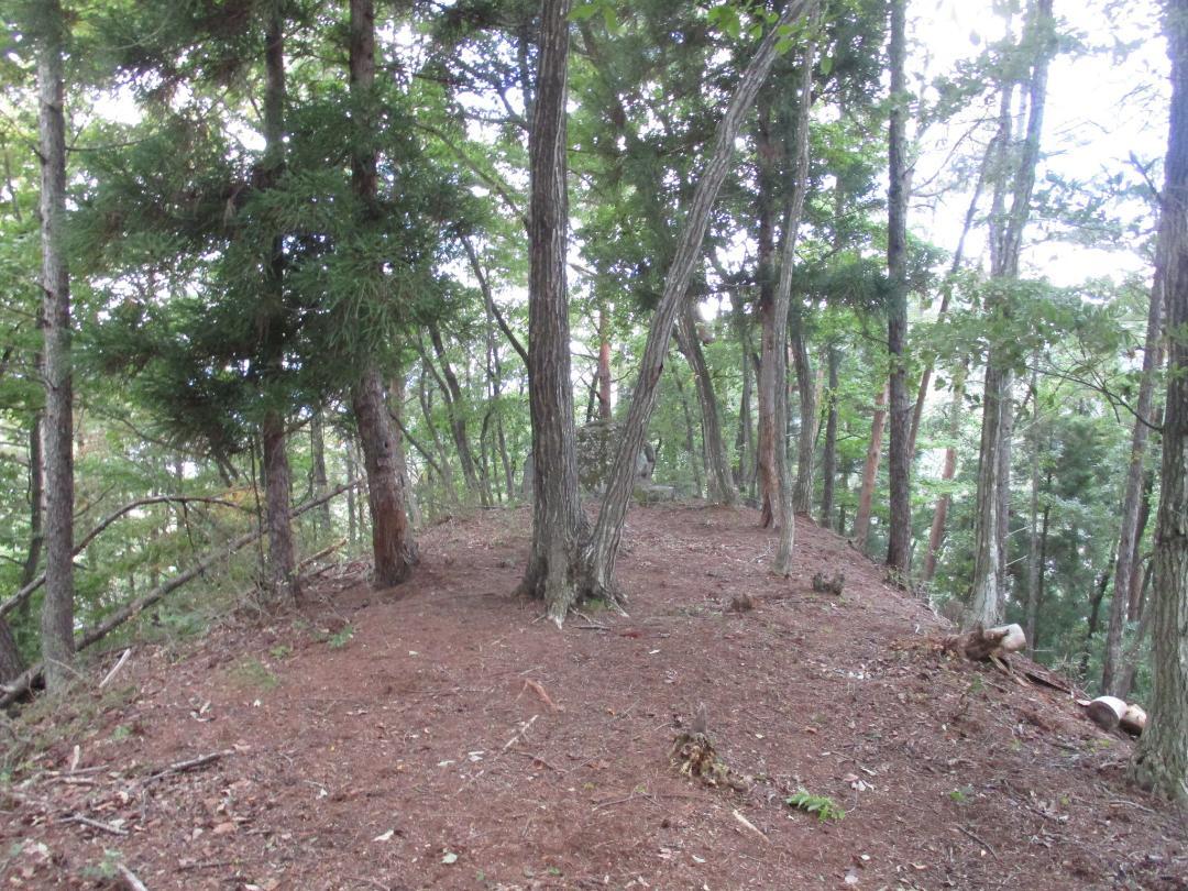 ShinanoYonakojou (13).jpg