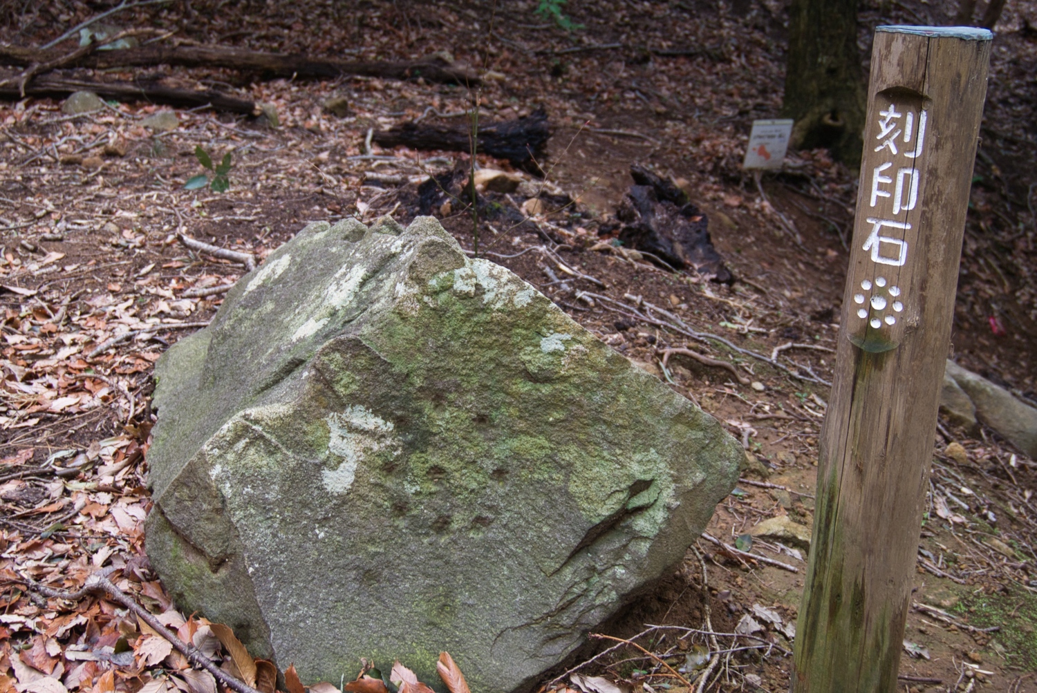 Usami hanareyama13.jpg