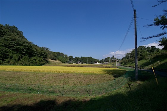 File:Sasao16.jpg