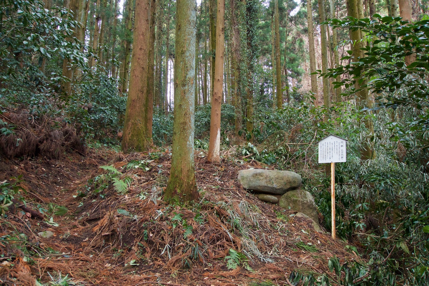 Matsuida12.jpg