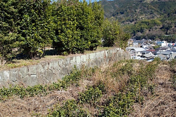 File:Ojima9.jpg