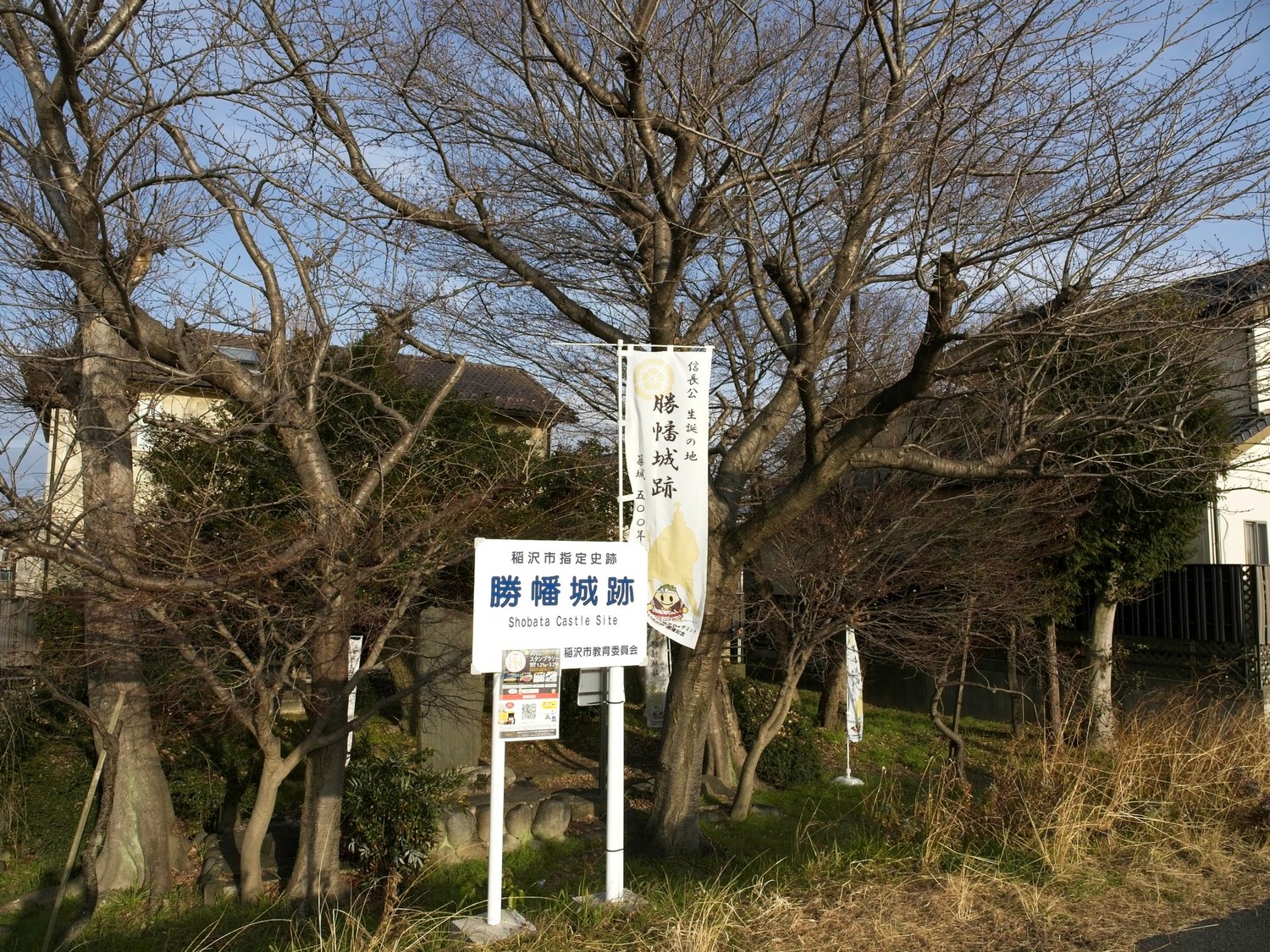 Shobata23.jpg
