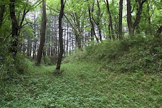 File:Yamagami18.jpg