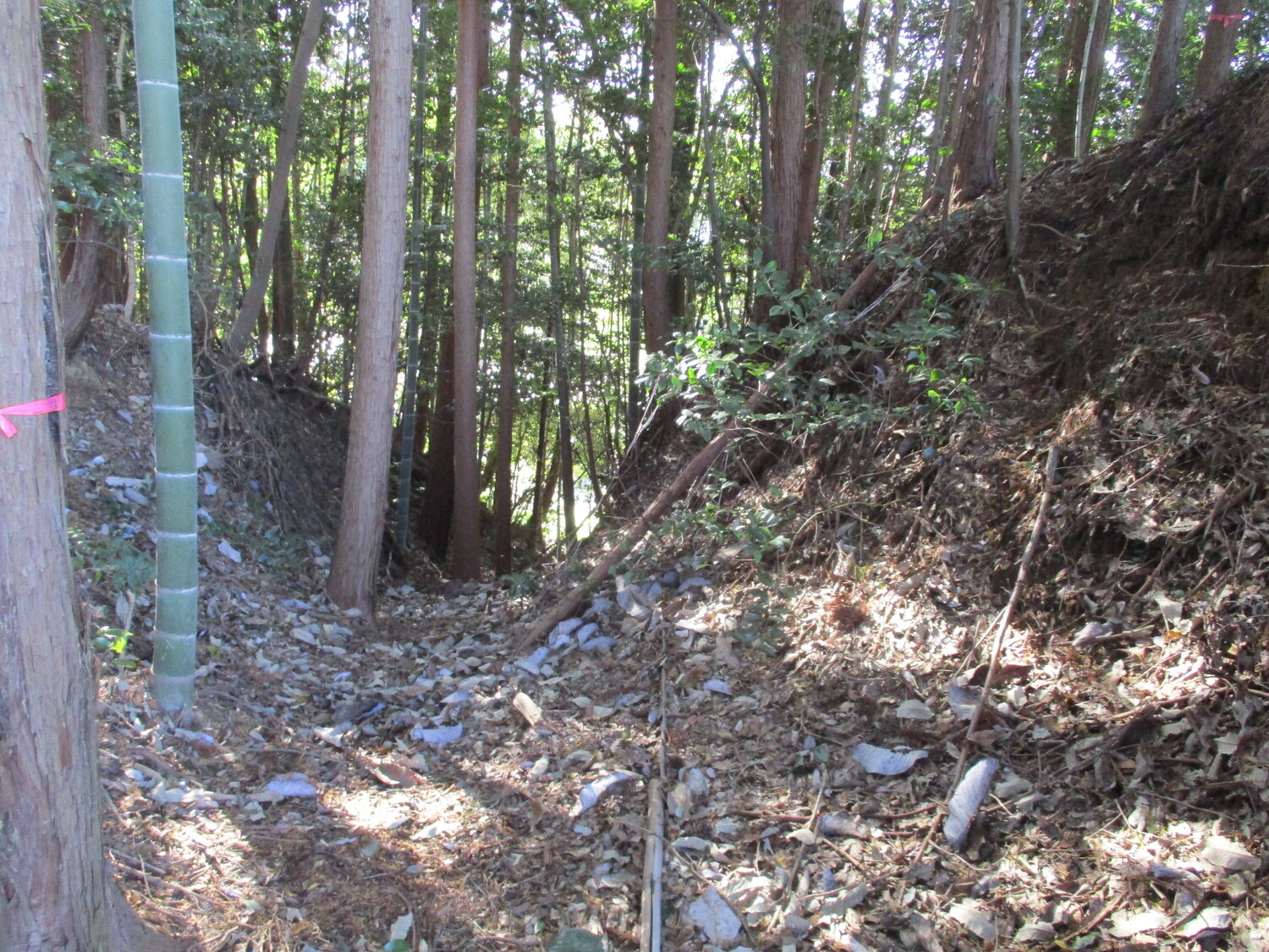 Hadanashijou (4).JPG