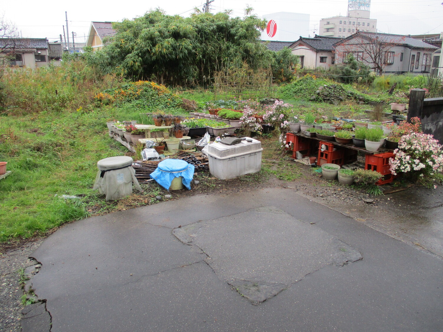 ItoigawaJinyaA (1).JPG