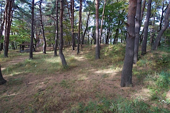 File:Hayashioh19.jpg