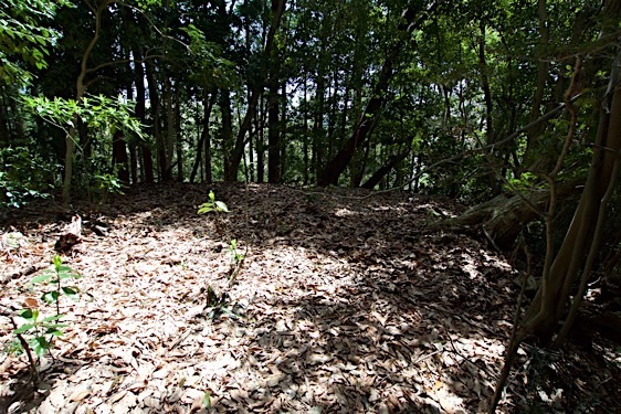 File:Jofukuji9.jpg