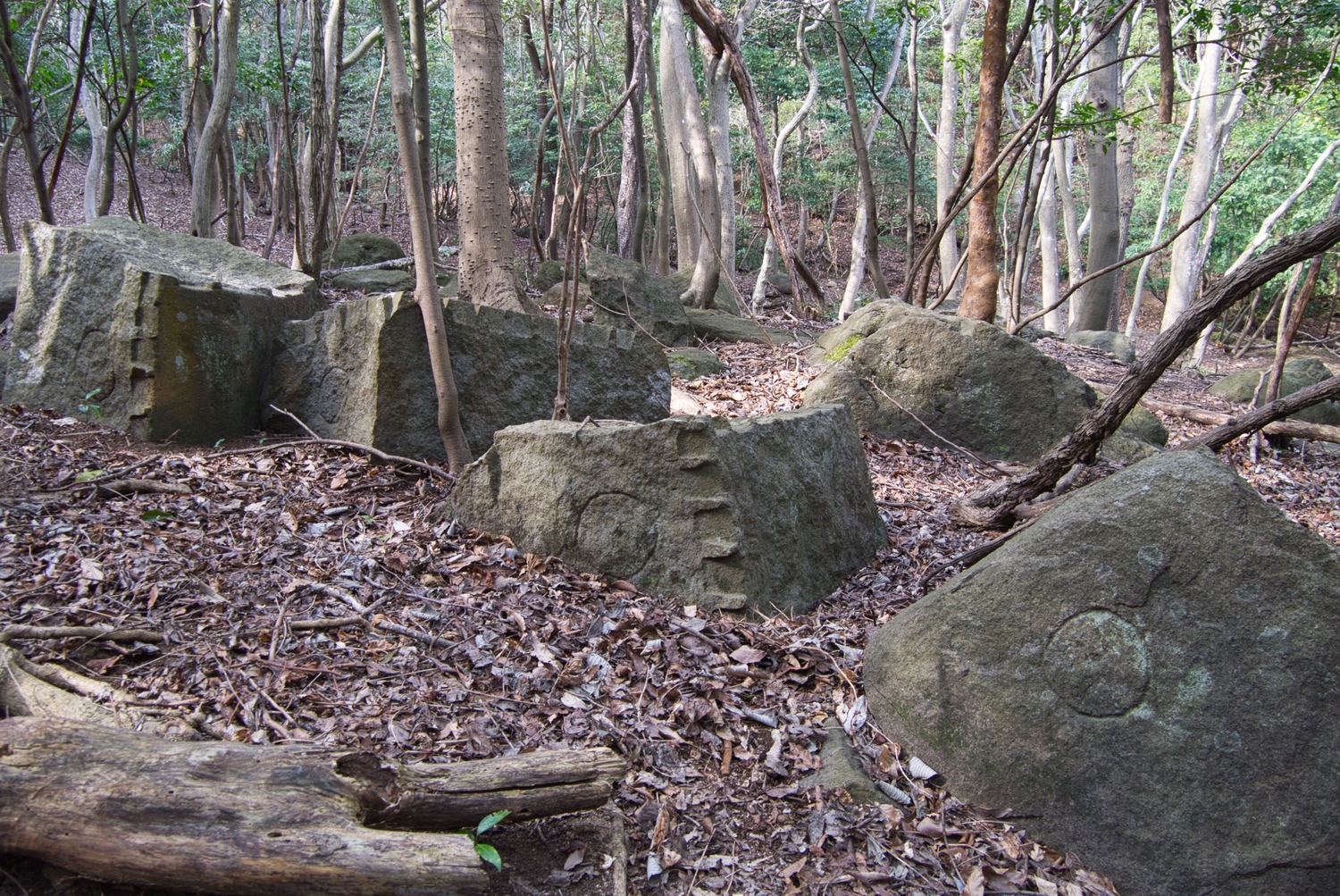Yugawa22.jpg