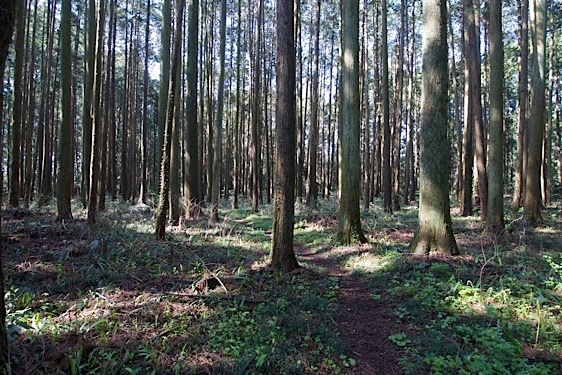 File:Karasuyama15.jpg