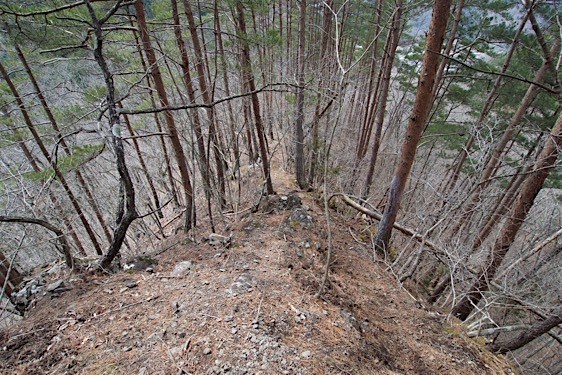 File:Kuma28.jpg