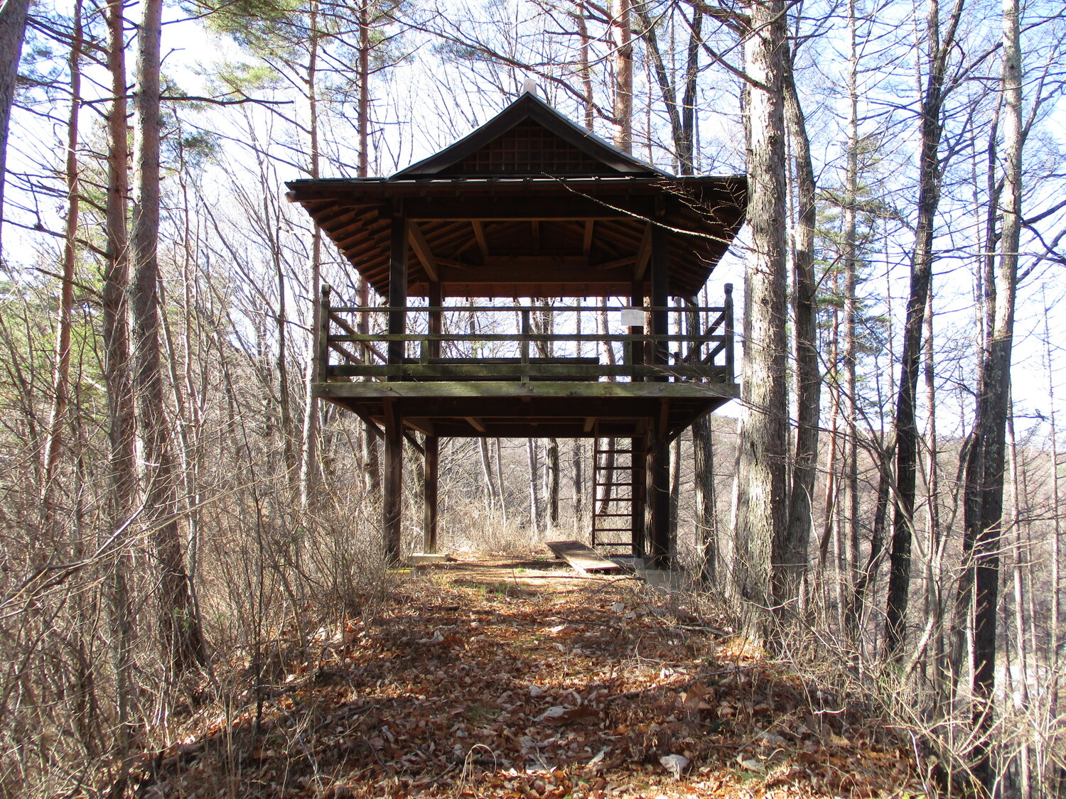 SakuHitomoshijou (1).JPG