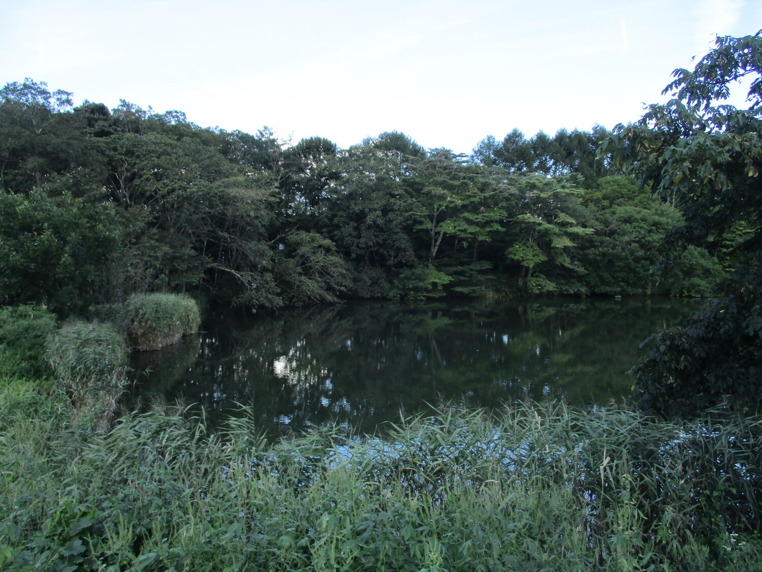 SuwaFuseyachoujaYakata (1).JPG