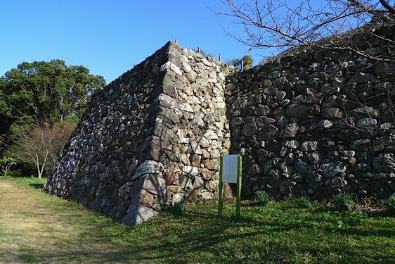 File:Tamaru6.jpg