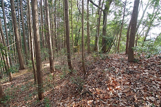 File:Tokura9.jpg