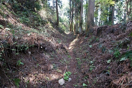 File:Mumo18.jpg