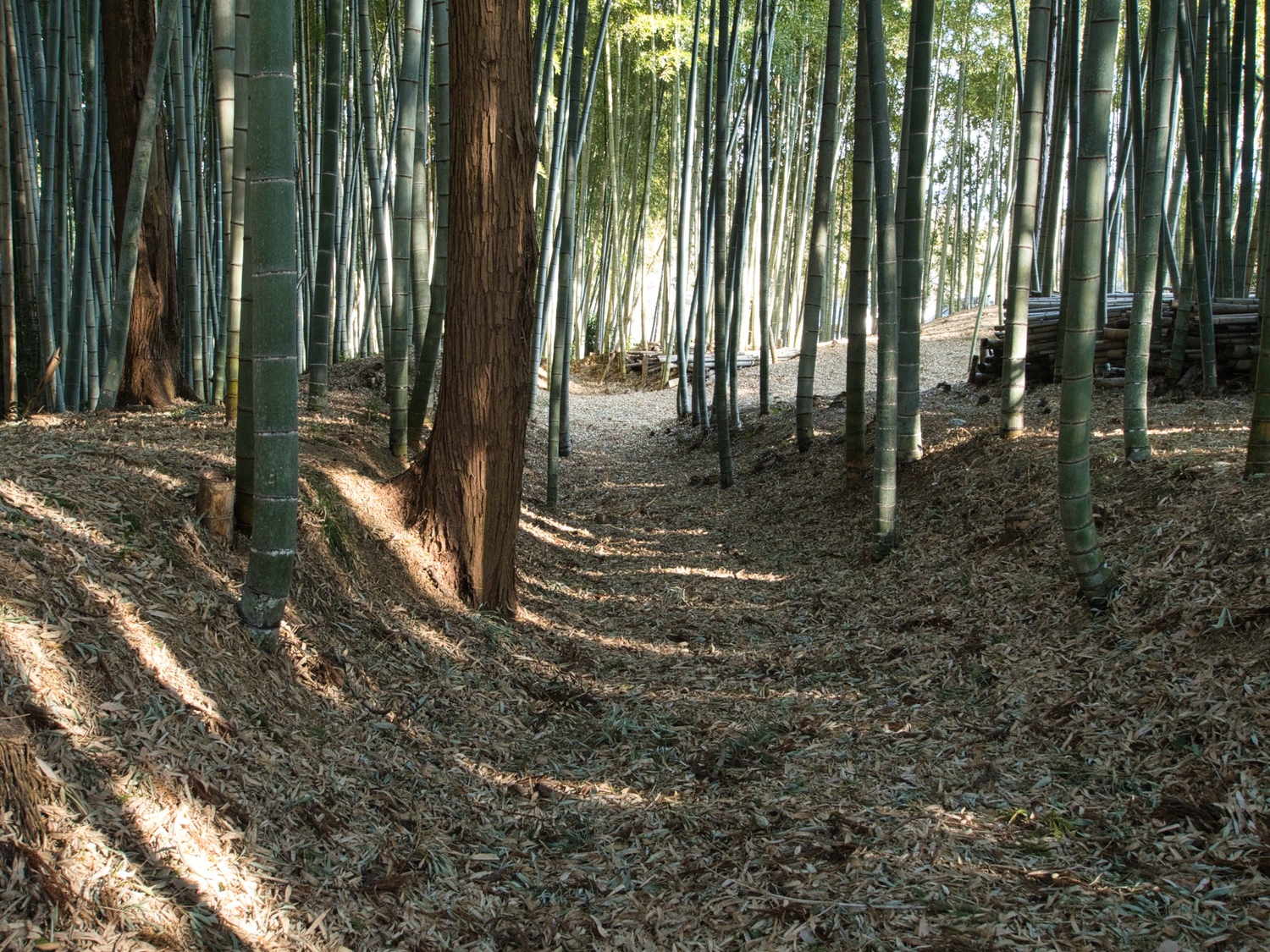 Uchikoshikoka13.jpg