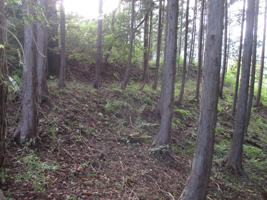 AzumiNakajimajou (4).jpg